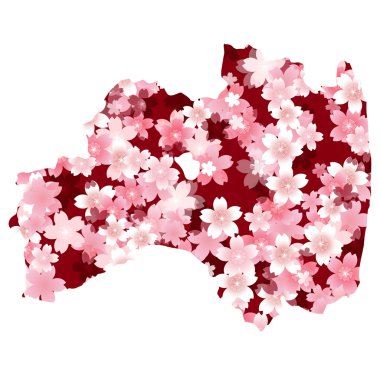 Fukushima　spring cherry blossoms